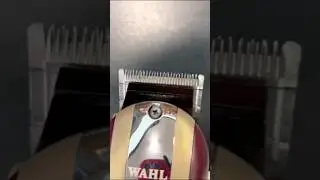 C&oacute;mo ajustar las cuchillas al rass video completo en mi biograf&iacute;a