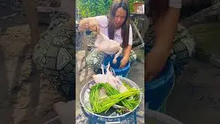 тинола с рубленым куриным мясом