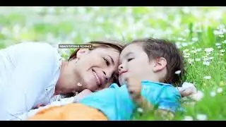 Human Brain   Structure and Function of Human brain   How Human Brain Works