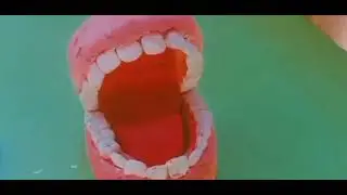 #ScienceExhibition #Project #HumanTeeth                              Like & Subscribe my Channel 👍