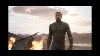 The Lost Vision: Ryan Coogler's Original Black Panther 2 Plan