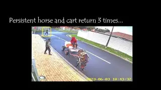 Persistent horse and cart return 3 times to the same house...