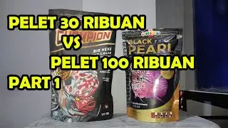 REVIEW Pelet Ikan Louhan Pelet Okiko Black Pearl n Pelet CHAMPION