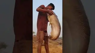 Big Fishing Form Underwater #fish #fishing #video #shorts #big_fishing_video #catching #big_fishing