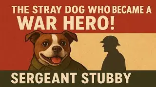 Sergeant Stubby : The Four-Legged Hero of WWI