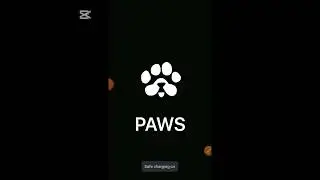 How to connect your phantom wallet successfully to your Paw's  Airdrop...