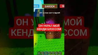 Богатый Игрок УКРАЛ МОЙ КЕНДИ БЛОССОМ в Grow A Garden...
