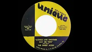 Gonna Live Another Day Or Two- The Sweet Acids (lyrics)