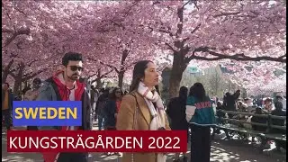 Sweden, Stockholm, Kungstr&auml;g&aring;rden 2022