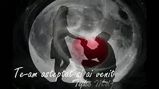 Te-am așteptat și ai venit–Tyko Mdj