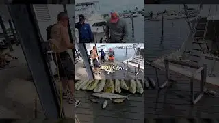 Cowboy Charters Fishing in Key West Got Sea SICK 🤮🤢🤮And The Fish Went Crazy🤣!!! Chum Em Up 🤷&zwj;♂️🤣