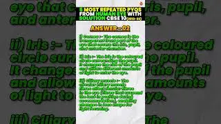 5 Most Repeated Questions (PYQs) from The Human Eye And The Colourful World! #class10 #solutions