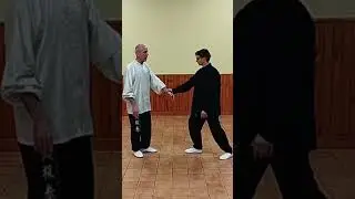 Application martiale fermeture apparente Tai Chi Chuan style Yang de c&ocirc;t&eacute;