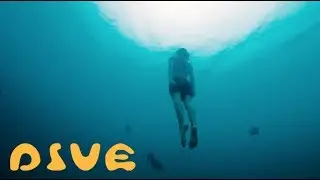 Blue Child Collective - Dive [OFFICIAL MUSIC VIDEO]