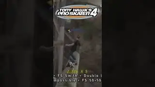 Was Tony Hawk responsible for your skater phase too?