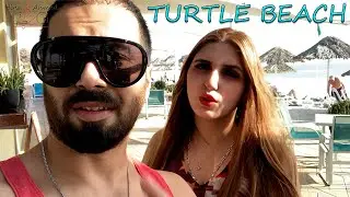 Best PRIVATE BEACH in the WORLD | TURTLE BEACH | MARJAN ISLAND | Dubai Vacations