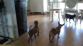what happens in the house when its 115 degrees outside
