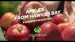 Apples from Hawkes Bay | Grower Fresh | Countdown