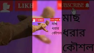 🎣 Smart Fishing Trick with a Trendy Twist | Besos Song Vibe 🎵 #flashup #shortsvideo #banglashorts