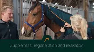 The BEMER Horse-Set, For Any Horse