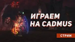 PvE + PvP вечер: Балуан \ Сложная Рамона и 2 часа PvP зоны на межсервере. 127 ШК. Lineage 2 руофф