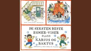 Sj&oslash;r&oslash;vervise