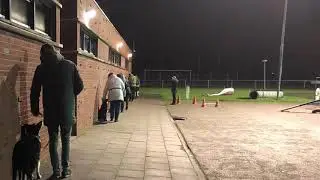 Basic Hondenschool Sport en Spel najaar