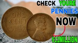Most Expensive One Cent Wheat Penny Coins Ever Sold USA Rare Lincoln Cent History and Value Guide