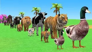 Long Slide Game with Cow Elephant Gorilla Hippopotamus Tiger 3d Animal Game Funny 3d Animals