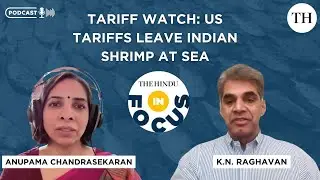 In Focus podcast | Tariff Watch: US tariffs leave Indian shrimp at sea