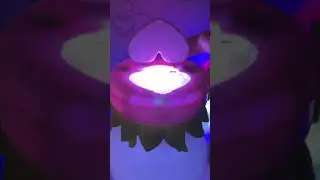 How-To Find Fairies with Secret Codes!💖 #got2glowfairyfinder #shorts #fairies