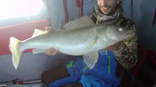 Late Ice Lake Winnipeg - Catch & Cook w/a MASTER ANGLER!!