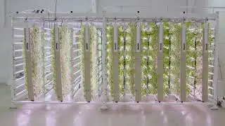 IAG technology