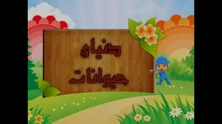 ( دلفین ) دنیای حیوانات