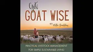75 | How Livestock Shaped My Life and Why I’m Here to Help You