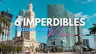 Top 6 cosas que hacer en Downtown Miami | Guía para turistas y nuevos residentes