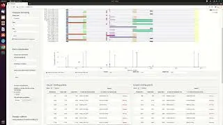 VIsoQLR: an interactive tool for the detection and quantification of isoforms using long-read seq