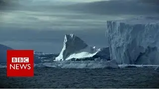 Antarctica's Weddell Sea 'deserves protected status' - BBC News