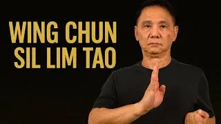 Wing Chun Sil Lim Tao Practise 