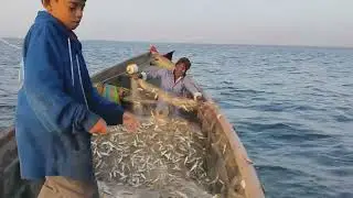 Inside Pakistan&rsquo;s $1 Billion Fishing Industry (Documentary)