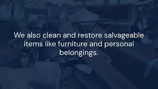 Comprehensive Guide to Water Damage Restoration by South County Restoration