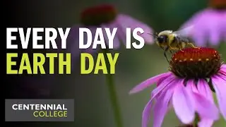 Every Day is Earth Day