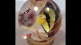 Cats Eye View ~ Hand Blown Glass Marble by Rae Grout