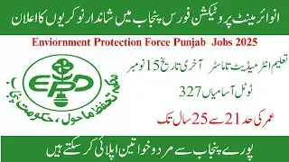 Punjab Environment Protection Force Jobs 2025