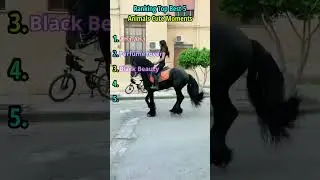 Ranking Top 5 Best Horse Dance Moments #shorts #shortsfeed