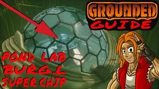Pond Lab Grounded Guide How to Unlock Muscle Sprouts in Grounded
