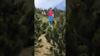12 year old dealt with a wild bear in Italy