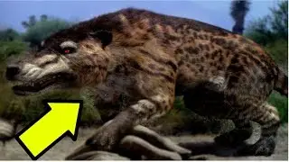 5 ANIMALI DELL'ERA GLACIALE PI&Ugrave; PERICOLOSI E LETALI CHE ABBIANO POPOLATO IL PIANETA TERRA