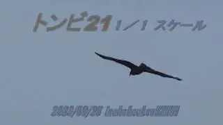 究極の鳥型グライダーを求めて16「トンビ21」ラジコン技術 2023年11月号