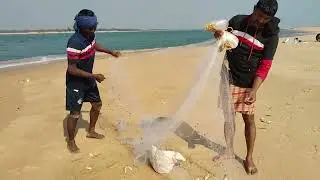 India's best net# FISHING# video 🦈🐟🐬🐟🐟🐬🐟🐟🐬🐟🦈🐟